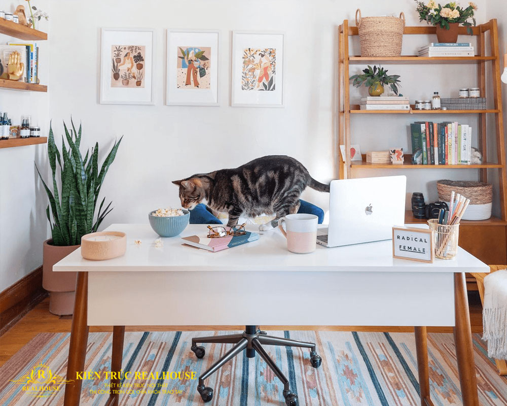 Goi-y-tuoi-at-mao-xay-nha-nam-nao-tot-1-realhouse