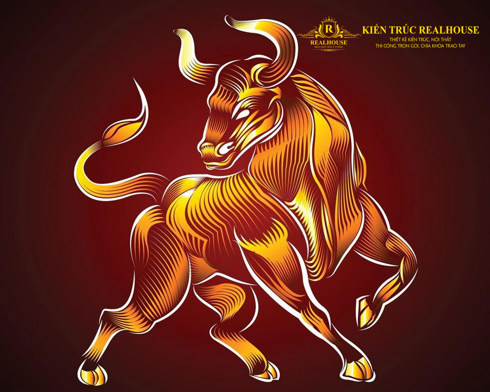 Tong-quan-ve-tuoi-quy-suu-realhouse