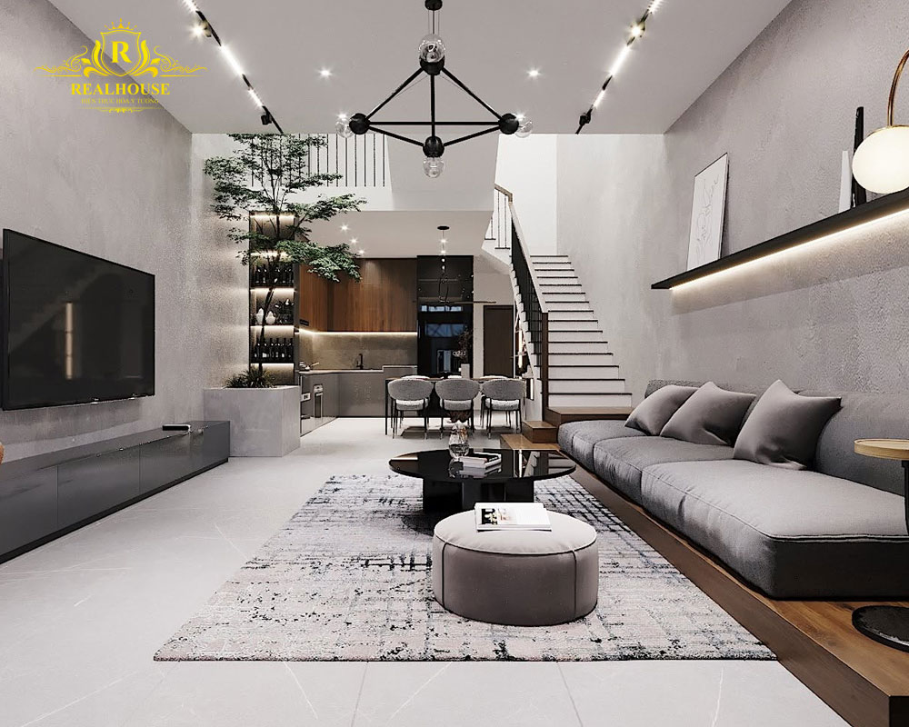 Phong-cach-kien-truc-pho-bien-cho-biet-thu-100m2-realhouse